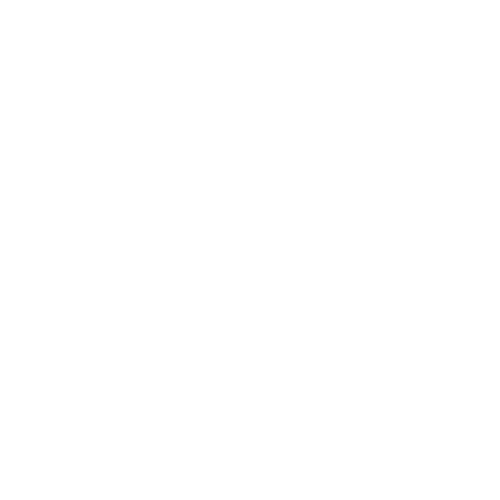 Logo Ibracem